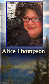 About Alice Thompson, Real Estate Agent for Dawson City Realty Ltd.